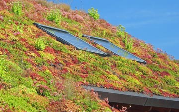 Lower Dunsforth living roof systems